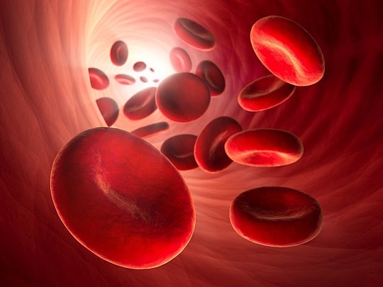 Grafik: Blutplasma